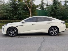 BYD Dolphin 07 DM-i 2026 DM-i 1.5T 230km Flagship - ფოტო 20
