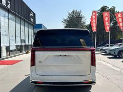 Great Wall WEY Shanshan New Energy Four-Wheel Drive Shanshan 8 - ფოტო 5