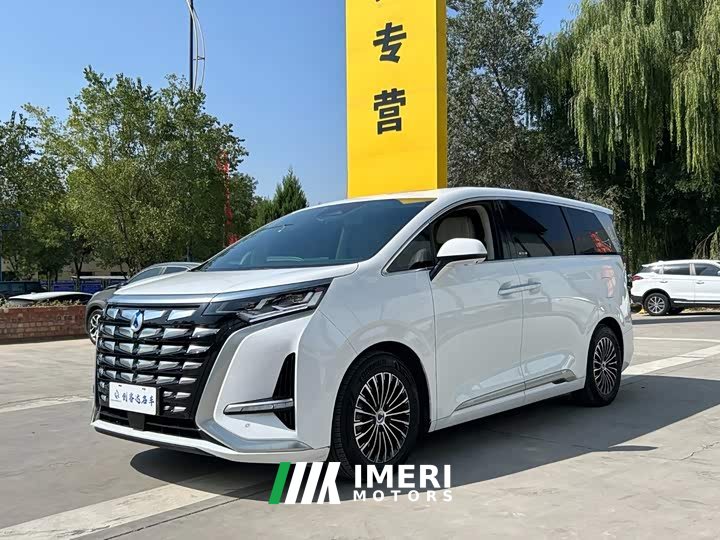 Denza BYD Denza D9 DM-i 1050 Premium - ავტომობილი ჩინეთიდან