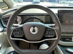 Denza BYD Denza D9 DM-i 1050 Premium - ფოტო 10