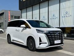 Denza BYD Denza D9 DM-i 1050 Premium - ფოტო 3