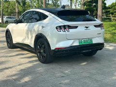 Ford Mustang Mach-E 2021 Boundless RWD Luxury Long Range - ფოტო 6
