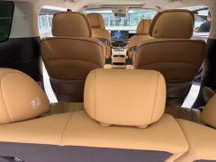 Denza BYD Denza D9 DM-i 970 Luxury - ფოტო 13
