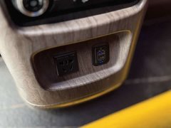 Ford Watson Wilford Black Warrior 2.0T Gasoline Standard Edition - ფოტო 13