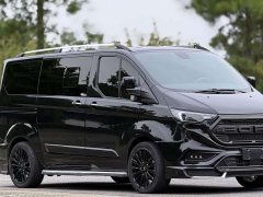 Ford Watson Wilford Black Warrior 2.0T Gasoline Standard Edition - ფოტო 3