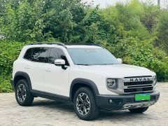 Great Wall Dachshund 2024 2.0T DCT Chinese Rural Dog Edition - ფოტო 3