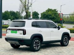 Great Wall Dachshund 2024 2.0T DCT Chinese Rural Dog Edition - ფოტო 9