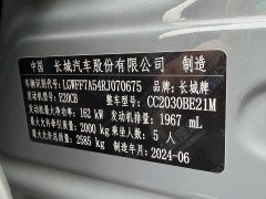 Tank 300 2.0T Challenger - ფოტო 19