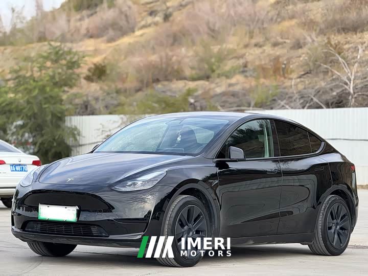 Tesla Model Y Rear-Wheel Drive