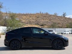 Tesla Model Y Rear-Wheel Drive - ფოტო 19
