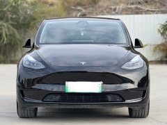 Tesla Model Y Rear-Wheel Drive - ფოტო 2