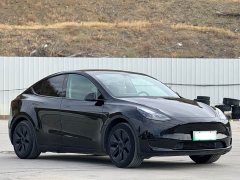 Tesla Model Y Rear-Wheel Drive - ფოტო 3