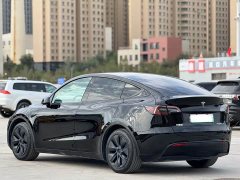 Tesla Model Y Rear-Wheel Drive - ფოტო 7