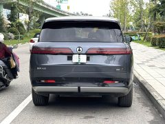 Denza BYD Denza N9 Flagship - ფოტო 8