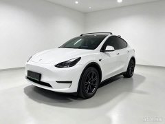 Tesla Model Y Long Range All-Wheel Drive - ფოტო 1