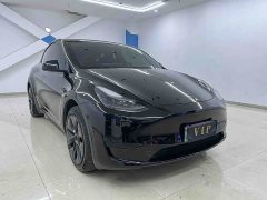 Tesla Model Y Rear-Wheel Drive - ფოტო 3