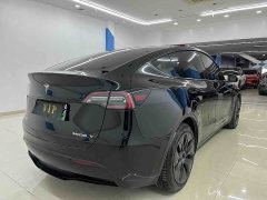 Tesla Model Y Rear-Wheel Drive - ფოტო 6