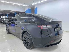 Tesla Model Y Rear-Wheel Drive - ფოტო 8