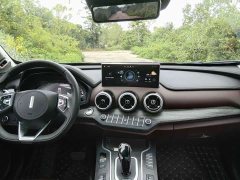 Great Wall WEY VV7 New Energy 2020 PHEV 2.0T Flagship - ფოტო 12