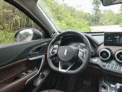 Great Wall WEY VV7 New Energy 2020 PHEV 2.0T Flagship - ფოტო 13