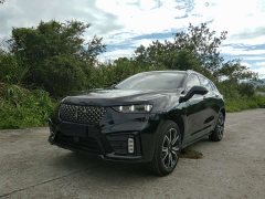 Great Wall WEY VV7 New Energy 2020 PHEV 2.0T Flagship - ფოტო 3