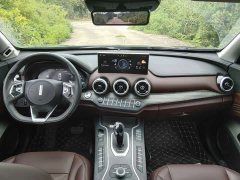 Great Wall WEY VV7 New Energy 2020 PHEV 2.0T Flagship - ფოტო 8