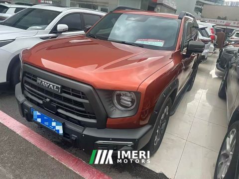 2024 Great Wall Dachshund 2.0T DCT Chinese Rural Dog Edition - ავტომობილი ჩინეთიდან