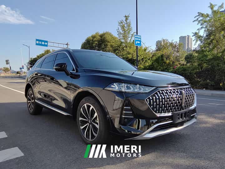 Great Wall Wei Brand Mocha 2.0T Two-Wheel Drive Rich Edition