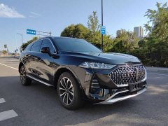 Great Wall Wei Brand Mocha 2021 2.0T Two-Wheel Drive Rich Edition - ფოტო 1