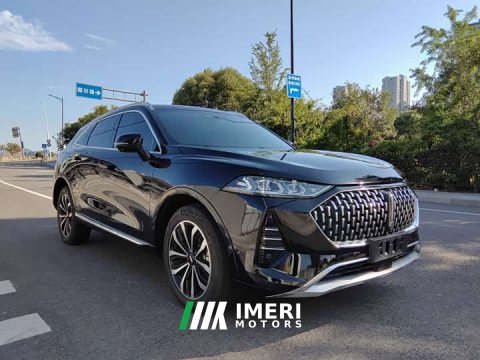 2022 Great Wall Wei Brand Mocha 2021 2.0T Two-Wheel Drive Rich Edition - ავტომობილი ჩინეთიდან