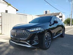 Great Wall Wei Brand Mocha 2021 2.0T Two-Wheel Drive Rich Edition - ფოტო 2
