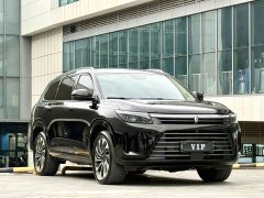 AITO Wenjie M7 1.5T RWD Comfort Edition - ფოტო 3