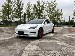 Tesla Model 3 Facelift Standard Range RWD Upgrade 3D1 - ფოტო 1