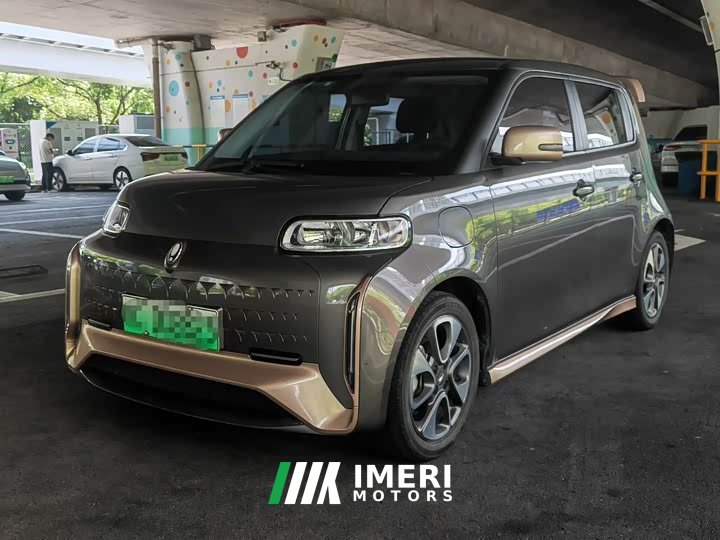 ORA White Cat Little Wildcat 360km Luxury Ternary Lithium - ავტომობილი ჩინეთიდან