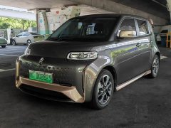 ORA White Cat Little Wildcat 360km Luxury Ternary Lithium - ფოტო 1