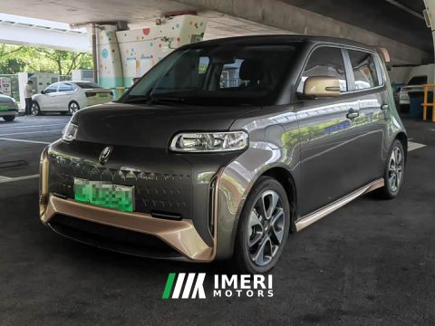 2022 ORA White Cat Little Wildcat 360km Luxury Ternary Lithium - ავტომობილი ჩინეთიდან