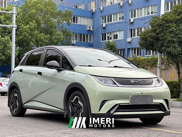 BYD Dolphin 401km Knight Edition