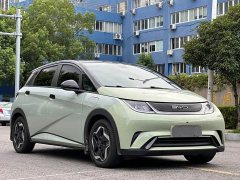 BYD Dolphin 401km Knight Edition - ფოტო 1