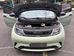 BYD Dolphin 401km Knight Edition - ფოტო 16