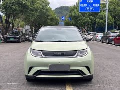 BYD Dolphin 401km Knight Edition - ფოტო 2