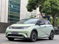 BYD Dolphin 401km Knight Edition - ფოტო 3