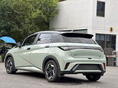 BYD Dolphin 401km Knight Edition - ფოტო 5