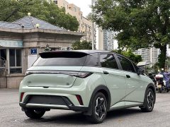 BYD Dolphin 401km Knight Edition - ფოტო 7