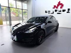 Tesla Model 3 Performance All-Wheel Drive - ფოტო 1