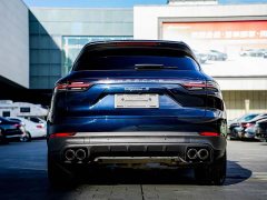 Porsche Cayenne 3.0T Platinum Edition - ფოტო 6
