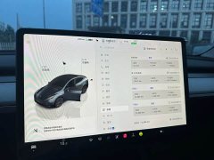 Tesla Model Y 2024 Rear-Wheel Drive - ფოტო 12