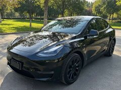 Tesla Model Y Rear-Wheel Drive - ფოტო 1