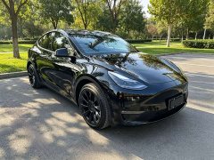 Tesla Model Y Rear-Wheel Drive - ფოტო 3