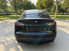 Tesla Model Y Rear-Wheel Drive - ფოტო 5