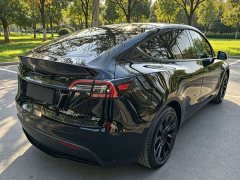 Tesla Model Y Rear-Wheel Drive - ფოტო 6